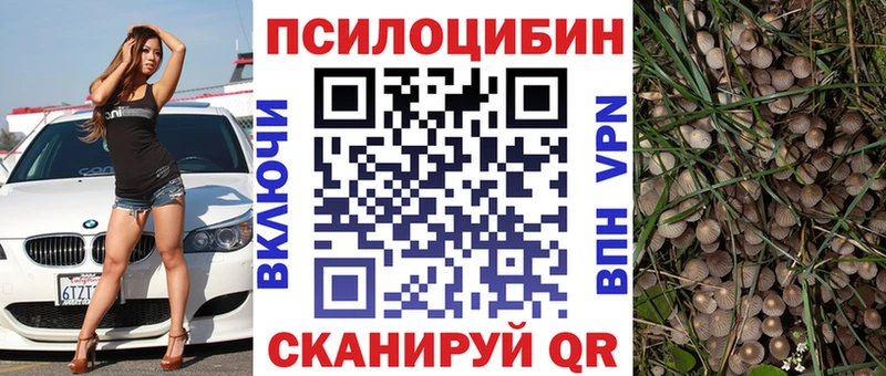 где купить наркоту  Лебедянь  Галлюциногенные грибы мицелий 